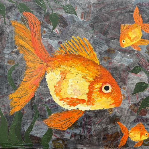 Chinese Gold Fish