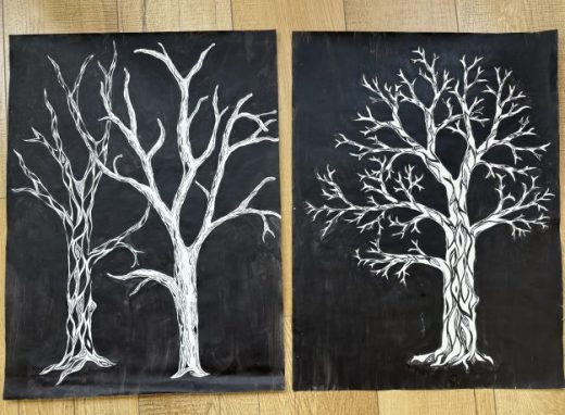 Family of Trees